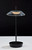 Ako LED Table Lamp (AD9206-01)