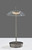 Ako LED Table Lamp (AD9206-22)