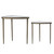 Millar Nesting Tables, S/2 (50346)