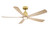 Kute5 52 52" Ceiling Fan (FPD5534BSN)