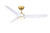 Fanimation - FPD6656BSMW - 56 Ceiling Fan - Lizza - Brushed Satin Brass