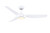 Fanimation - FPD6656MW - 56 Ceiling Fan - Lizza - Matte White