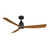 Fanimation - FPD8534BLK - 52 Ceiling Fan - Kute 52 - Black