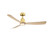 Kute 52 52" Ceiling Fan (FPD8534BSN)