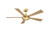 TorchAire 52 52" Ceiling Fan (FPD8570BSN)