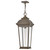 Hawthorne LED Pendant (19692BLB)