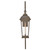 Hawthorne LED Wall Mount (19695BLB)