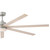 manufacturer_finish:Brushed Nickel/Bleached Ashwood