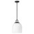 manufacturer_finish:Black