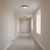 manufacturer_finish:Satin Brass