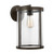 manufacturer_finish:Antique Bronze|manufacturer_glass:Clear|color_temperature:Unspecified|cri:Unspecified