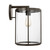 manufacturer_finish:Antique Bronze|manufacturer_glass:Clear|color_temperature:Unspecified|cri:Unspecified