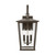 manufacturer_finish:Antique Bronze