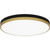 manufacturer_finish:Matte Black Gold
