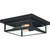 manufacturer_finish:Earth Black|manufacturer_glass:Shade 1: Clear Beveled Glass - Shade 2: Clear Beveled Glass