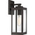 manufacturer_finish:Western Bronze|manufacturer_glass:Clear Beveled Glass