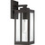 manufacturer_finish:Western Bronze|manufacturer_glass:Clear Beveled Glass