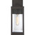 manufacturer_finish:Western Bronze|manufacturer_glass:Clear Beveled Glass