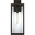 manufacturer_finish:Western Bronze|manufacturer_glass:Clear Beveled Glass
