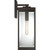 manufacturer_finish:Western Bronze|manufacturer_glass:Clear Beveled Glass