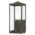 manufacturer_finish:Industrial Bronze|manufacturer_glass:Clear Seedy Glass