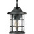 manufacturer_finish:Earth Black