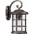 manufacturer_finish:Palladian Bronze