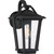 Quoizel - DRS8409EK - One Light Outdoor Wall Lantern - Darius - Earth Black