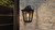 Darius One Light Outdoor Wall Lantern (DRS8409EK)
