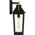 Buckley One Light Outdoor Wall Mount (BUK8407MBK)