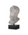 Currey and Company - 1200-1084 - Head on Metal Stand - Hercules - Antique Off-White / Black