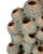 Sunken Boat Object (1200-1107)