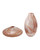 Currey and Company - 1200-1125 - Vase Set of 2 - Murmur - Rust