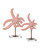 Currey and Company - 1200-1171 - Starfish Set of 2 - Starfish - Pink