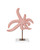 Starfish Starfish Set of 2 (1200-1171)