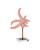 Starfish Starfish Set of 2 (1200-1171)