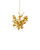 Lunaria Six Light Chandelier (9000-1433)