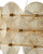 Whirlwind Ten Light Chandelier (9000-1462)