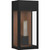 Maren One Light Outdoor Wall Mount (MAE8406MBK)