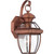 manufacturer_finish:Aged Copper|manufacturer_glass:Clear Glass