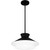 manufacturer_finish:Matte Black|manufacturer_glass:Alabaster Glass