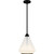 manufacturer_finish:Matte Black|manufacturer_glass:Clear Ombre Glass|light_source:Xenon