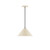 manufacturer_finish:Cream|manufacturer_glass:12 inch Pinnacle|light_source:Incandescent or LED equivalent|light_output:Unspecified|color_temperature:Unspecified|cri:Unspecified