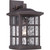 manufacturer_finish:Palladian Bronze