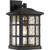 manufacturer_finish:Mystic Black