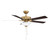 52" Ceiling Fan (M2034NBRV)
