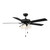 52" Ceiling Fan (M2035MBKRV)