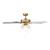 52" Ceiling Fan (M2035NBRV)