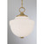 Montrose One Light Pendant (7-6999-1-322)