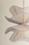 Amanda One Light Chandelier (H1084701S-AGB)